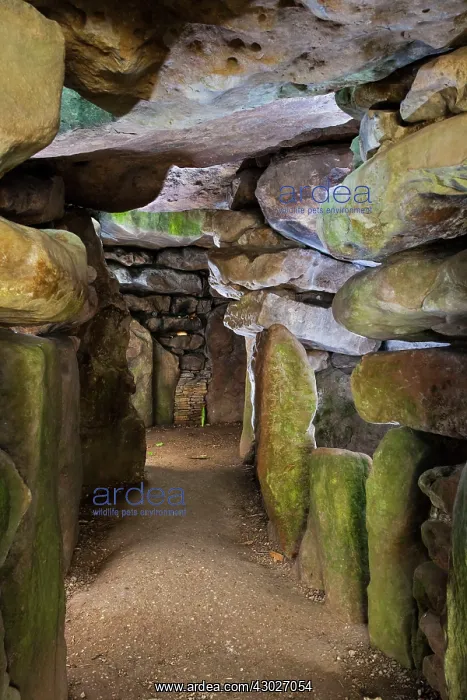 : Neolithic Chambered Tombs : Neolithic Chambered Tombs