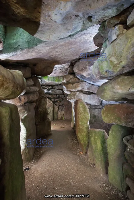 : Neolithic Chambered Tombs : Neolithic Chambered Tombs
