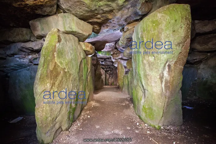 : Neolithic Chambered Tombs : Neolithic Chambered Tombs