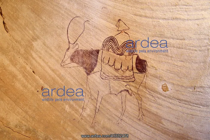 : Neolithic rock painting, cow with load and rider : Neolithic rock painting, cow with load and rider