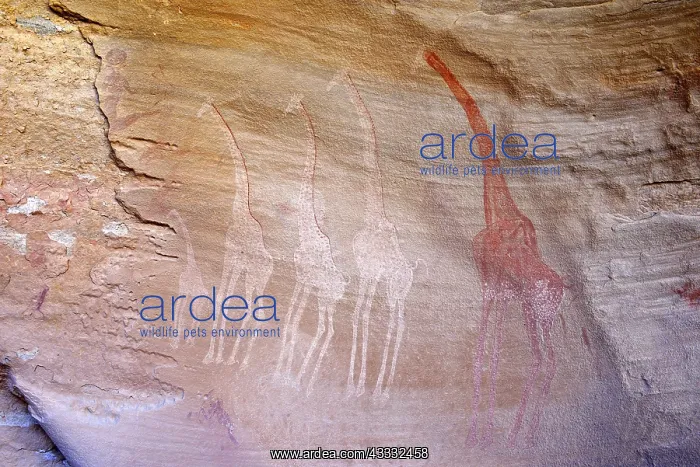 : Neolithic rock painting, group of giraffes, Tin : Neolithic rock painting, group of giraffes, Tin