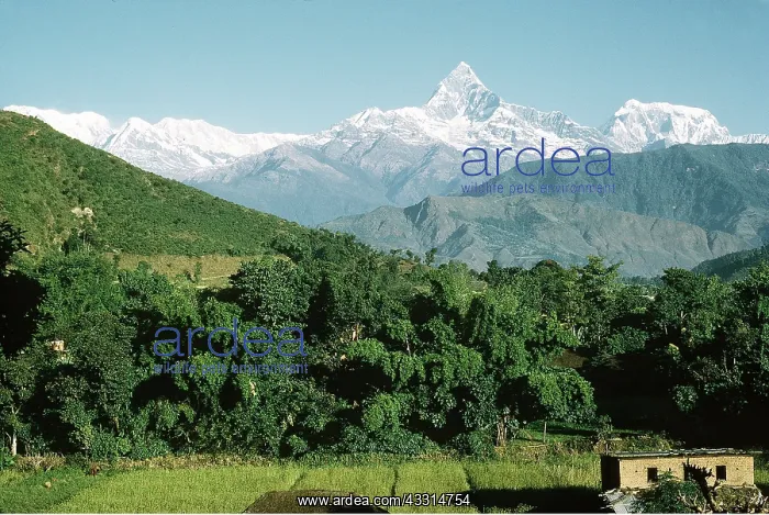  : NEPAL - Annapurna mountain range