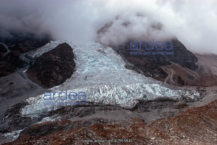 : Nepal - Base of Langtang glacier in descending cloud : Nepal - Base of Langtang glacier in descending cloud