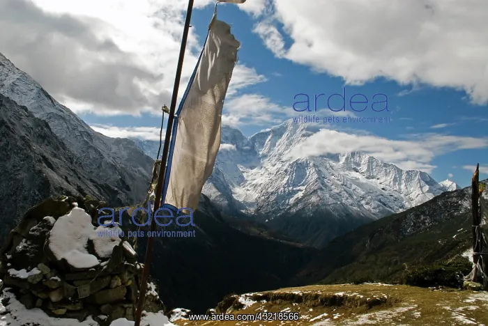  : Nepal, Dole. Prayer flags on a ridge above
