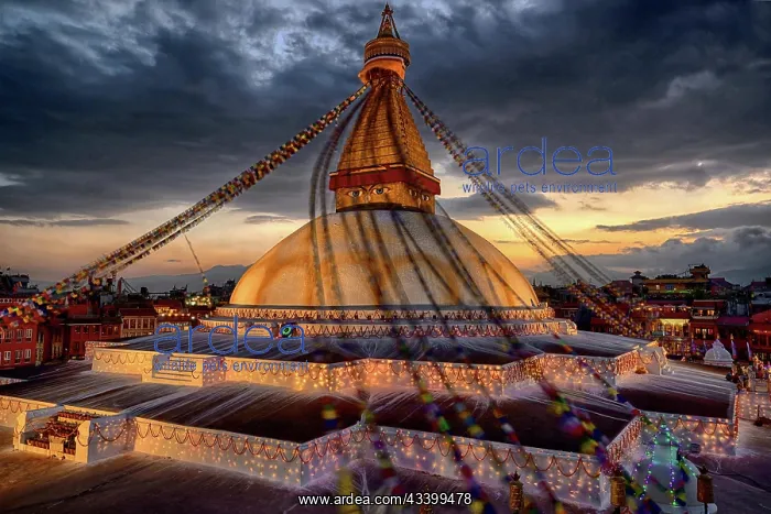 : Nepal, Himalaya, Kathmandu, Bodnath Stupa, Buddha : Nepal, Himalaya, Kathmandu, Bodnath Stupa, Buddha