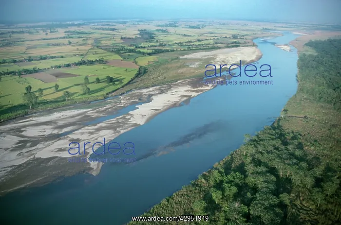 : Nepal - Terai : Nepal - Terai