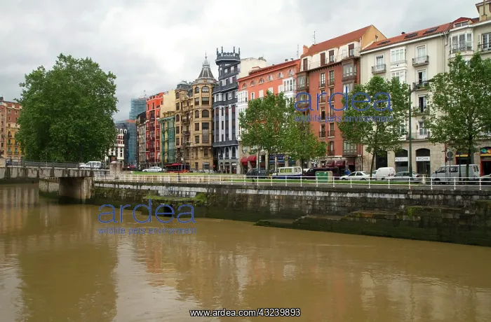 : The Nervion River at Bilbao, Biscay, Spain : The Nervion River at Bilbao, Biscay, Spain