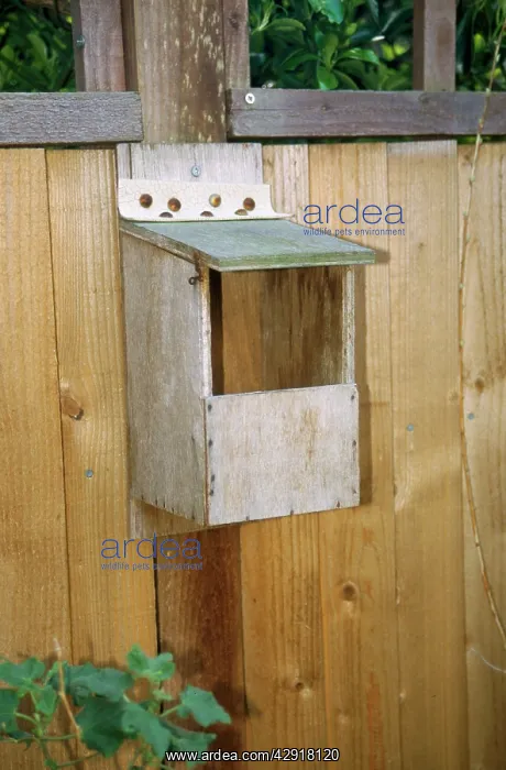  : NEST BOX - OPEN FRONT
