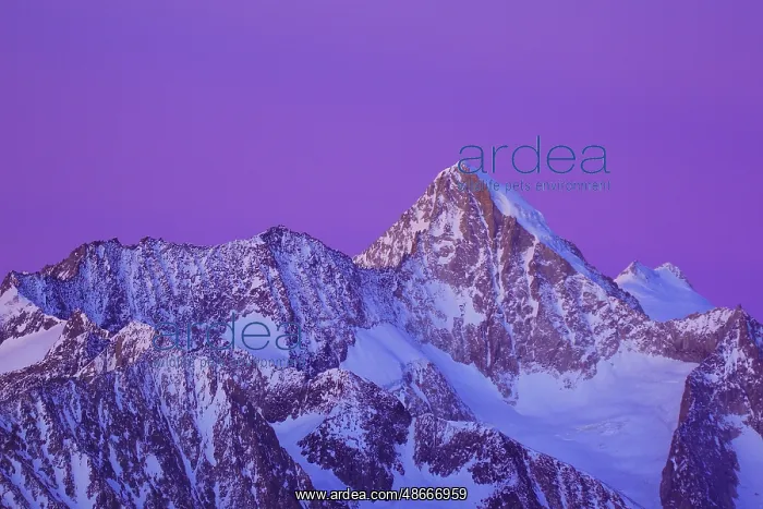  : Nesthorn, 3824 m, view from Bettmerhorn, Valais