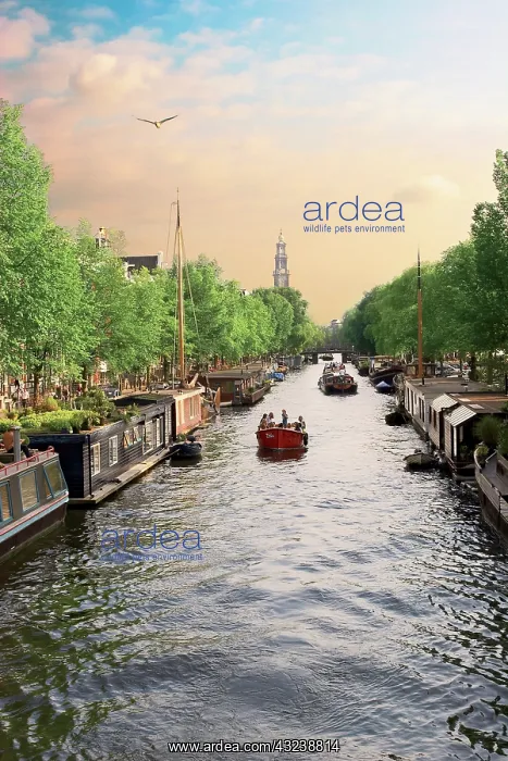 : Netherlands, Amsterdam, Boats cruise along : Netherlands, Amsterdam, Boats cruise along