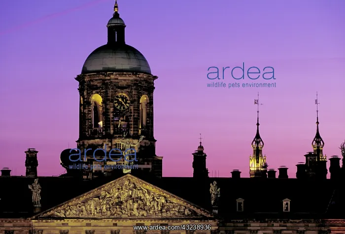 : Netherlands, Amsterdam. Royal Palace of : Netherlands, Amsterdam. Royal Palace of