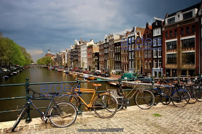 : Netherlands, Amsterdam. View of canal from : Netherlands, Amsterdam. View of canal from