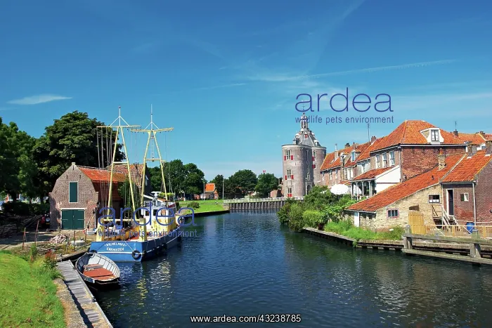 : Netherlands, Enkhuizen, Classic Dutch vessels : Netherlands, Enkhuizen, Classic Dutch vessels