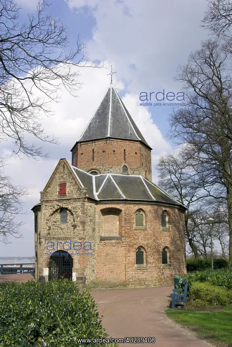 : Netherlands, Gelderland, Nijmegen, Remains : Netherlands, Gelderland, Nijmegen, Remains