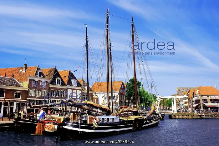 : Netherlands, Hoorn, Old wooden sailboats : Netherlands, Hoorn, Old wooden sailboats