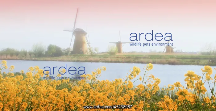 : Netherlands, Kinderdijk. Windmills next : Netherlands, Kinderdijk. Windmills next