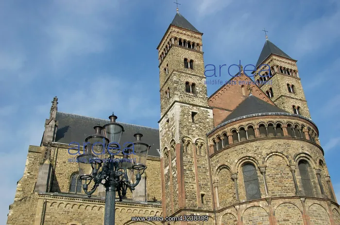 : Netherlands, Limburg, Maastricht, Basilica : Netherlands, Limburg, Maastricht, Basilica