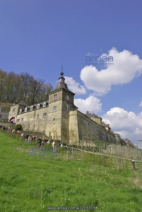 : Netherlands, Limburg, Maastricht, Chateau : Netherlands, Limburg, Maastricht, Chateau