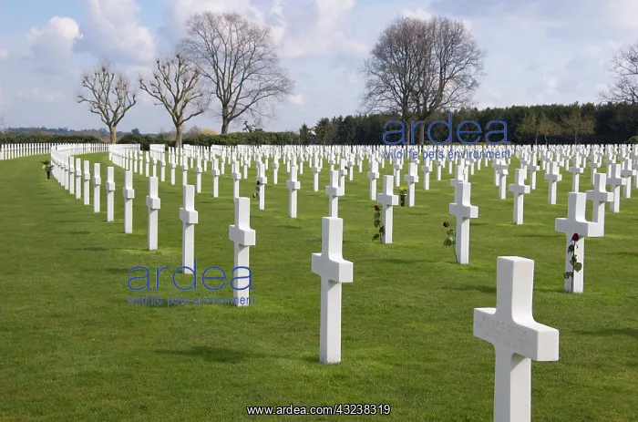 : Netherlands, Limburg, Maastricht, Netherlands : Netherlands, Limburg, Maastricht, Netherlands
