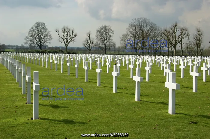 : Netherlands, Limburg, Maastricht, Netherlands : Netherlands, Limburg, Maastricht, Netherlands