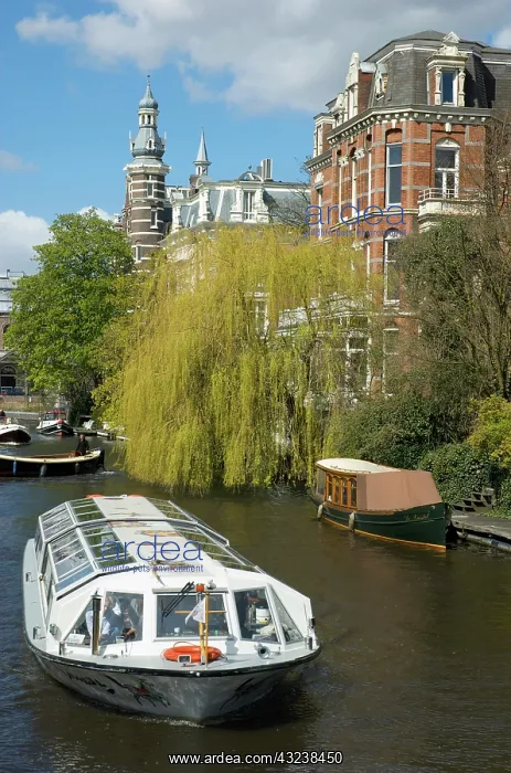 : Netherlands, North Holland, AmsterdamQueen : Netherlands, North Holland, AmsterdamQueen