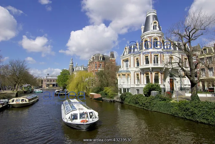  : Netherlands, North Holland, AmsterdamQueen