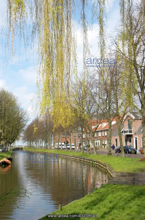 : Netherlands, North Holland, Edam : Netherlands, North Holland, Edam