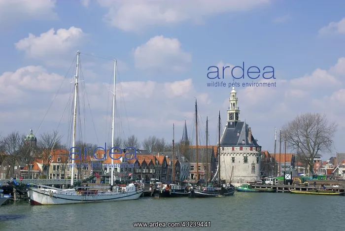 : Netherlands, North Holland, West-Frisia : Netherlands, North Holland, West-Frisia