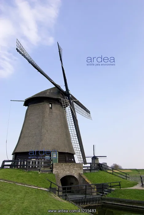 : Netherlands, North Holland, West-Frisia : Netherlands, North Holland, West-Frisia