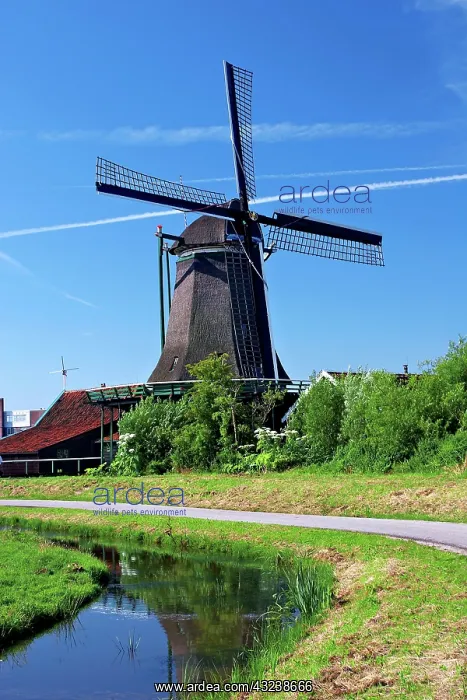 : Netherlands, North Holland, Zaanstad, Zaanse : Netherlands, North Holland, Zaanstad, Zaanse
