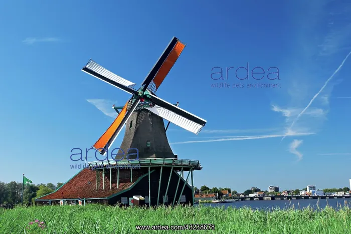 : Netherlands, North Holland, Zaanstad, Zaanse : Netherlands, North Holland, Zaanstad, Zaanse