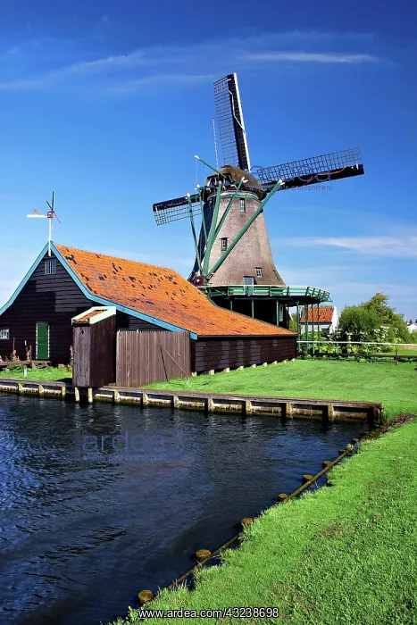 : Netherlands, North Holland, Zaanstad, Zaanse : Netherlands, North Holland, Zaanstad, Zaanse