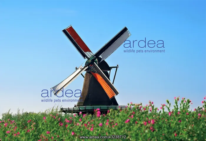 : Netherlands, North Holland, Zaanstad, Zaanse : Netherlands, North Holland, Zaanstad, Zaanse