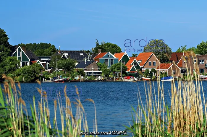 : Netherlands, North Holland, Zaanstad, Zaanse : Netherlands, North Holland, Zaanstad, Zaanse