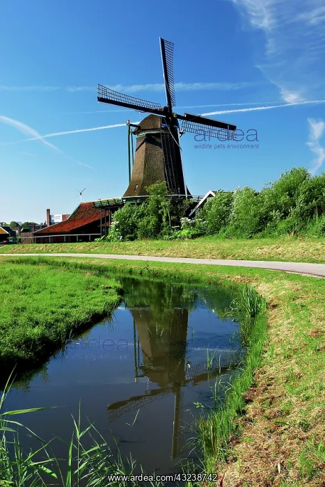 : Netherlands, North Holland, Zaanstad, Zaanse : Netherlands, North Holland, Zaanstad, Zaanse