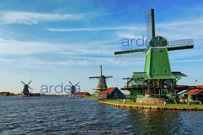 : Netherlands rural landscape Windmills at famous : Netherlands rural landscape Windmills at famous