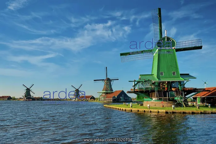 : Netherlands rural landscape Windmills at famous : Netherlands rural landscape Windmills at famous
