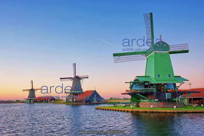  : Netherlands rural lanscape, windmills at famous