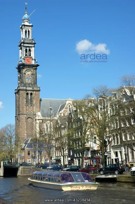 : Netherlands, South Holland, Amsterdam, Prinsengracht : Netherlands, South Holland, Amsterdam, Prinsengracht