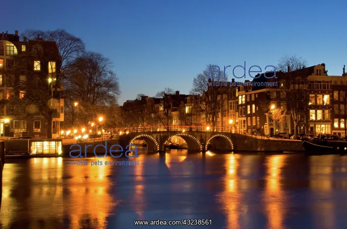 : Netherlands, South Holland, Amsterdam : Netherlands, South Holland, Amsterdam