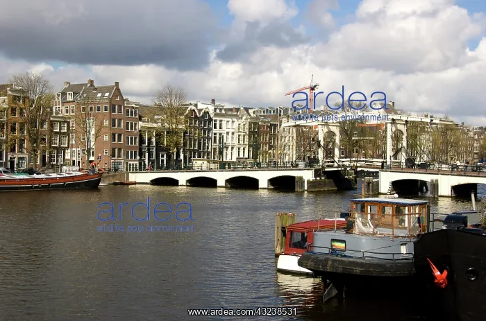 : Netherlands, South Holland, Amsterdam, River : Netherlands, South Holland, Amsterdam, River