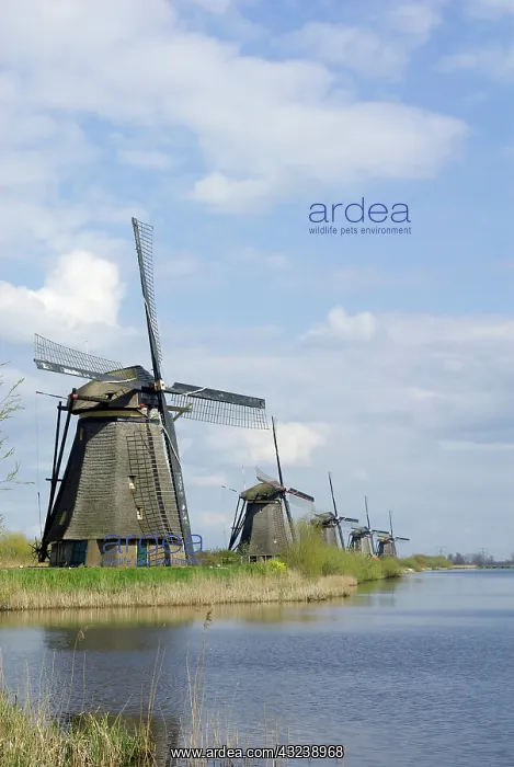 : Netherlands, South Holland, Kinderdijk