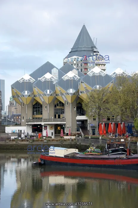 : Netherlands, South Holland, Rotterdam, Kubuswoningen : Netherlands, South Holland, Rotterdam, Kubuswoningen