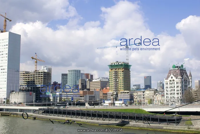 : Netherlands, South Holland, Rotterdam : Netherlands, South Holland, Rotterdam