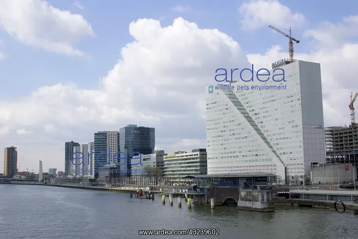 : Netherlands, South Holland, Rotterdam : Netherlands, South Holland, Rotterdam