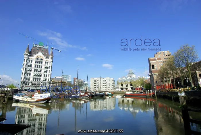: Netherlands, South Holland, Rotterdam, Kubuswoningen : Netherlands, South Holland, Rotterdam, Kubuswoningen