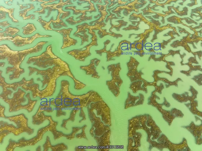 : Network of channels and streams at low tide. In : Network of channels and streams at low tide. In