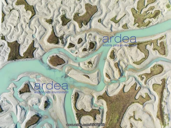 : Network of channels and streams at low tide : Network of channels and streams at low tide