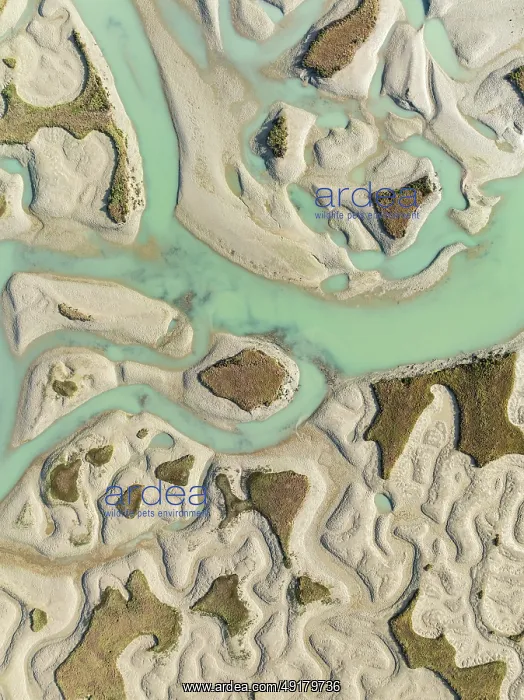 : Network of channels and streams at low tide : Network of channels and streams at low tide
