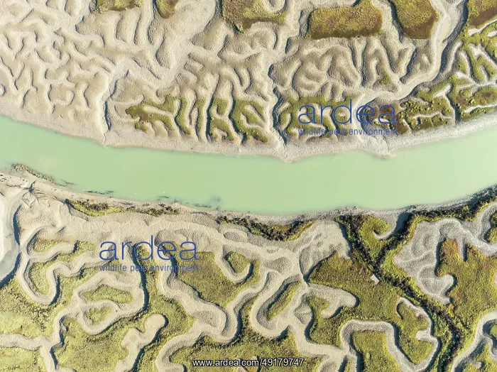 : Network of channels and streams at low tide : Network of channels and streams at low tide